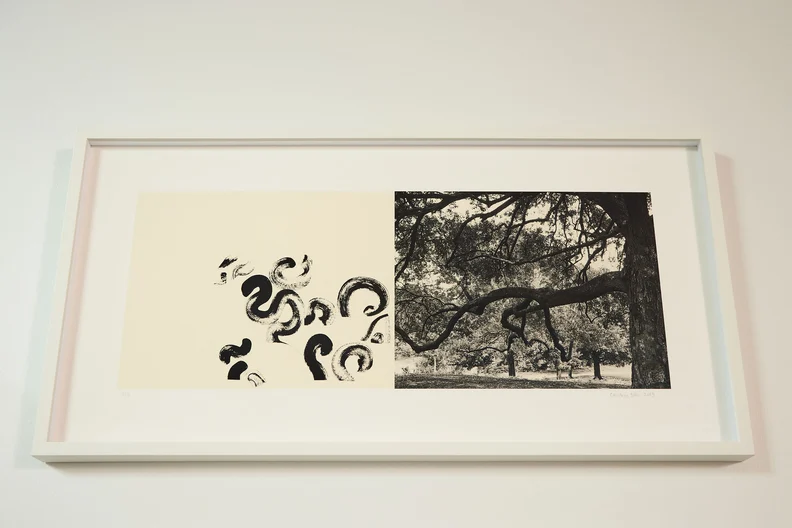 25-02-07_Houston_NickiEvansPhoto_WeingartenatHoustonEndowment_0136