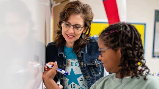 Public Education HEI